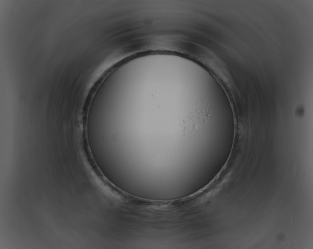 X0000093571133200710221437