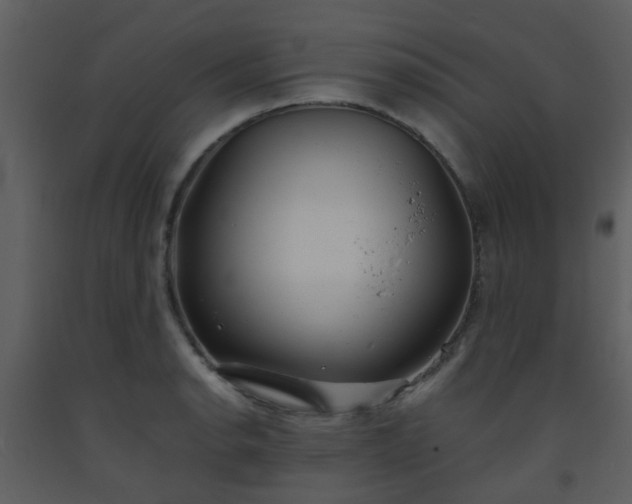 X0000093571134200710221437