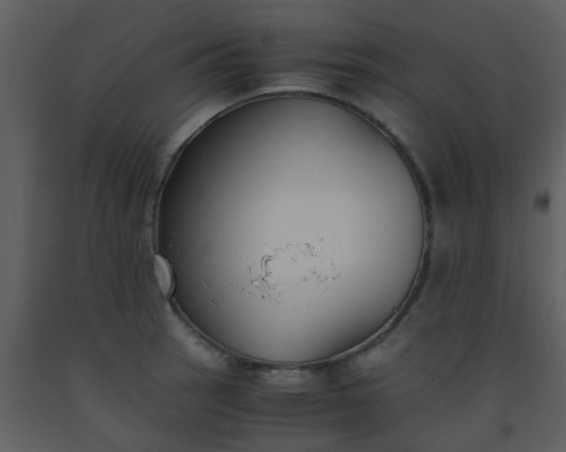 X0000093571137200710221437
