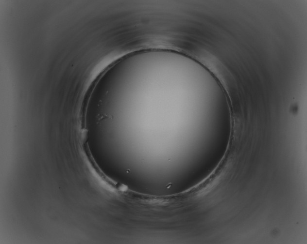 X0000093571141200710221438