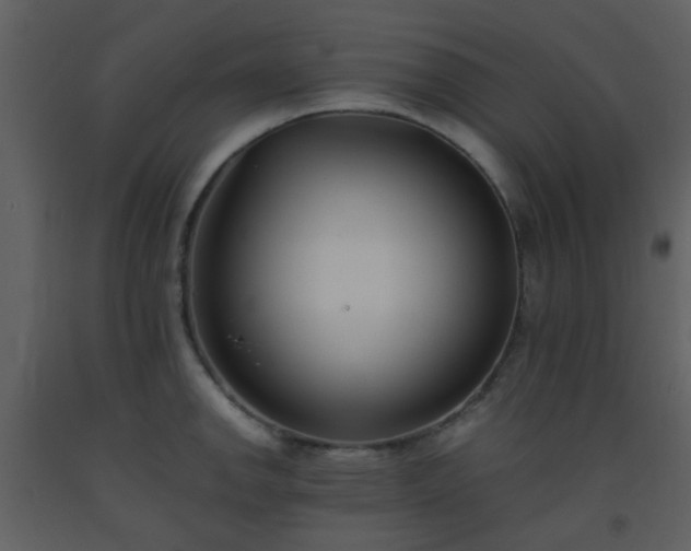 X0000093571142200710221438