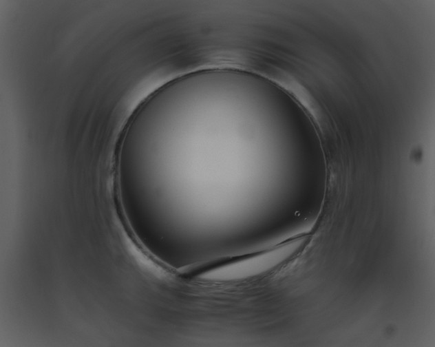 X0000093571143200710221438