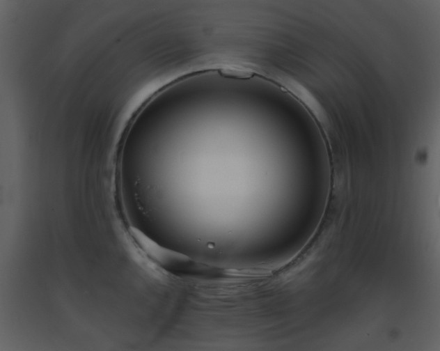 X0000093571144200710221438