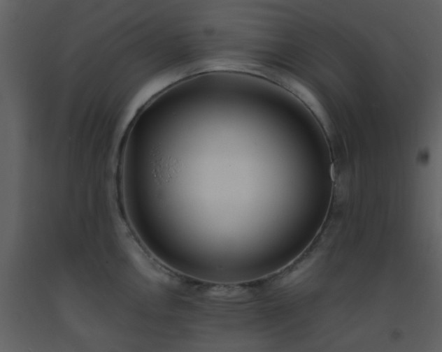 X0000093571146200710221438