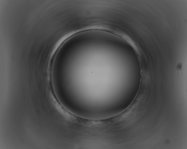 X0000093571148200710221438