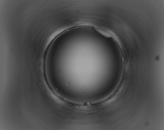 X0000093571149200710221438