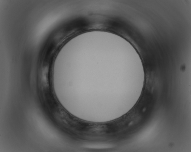 X0000093571150200710221438