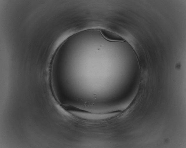 X0000093571151200710221438