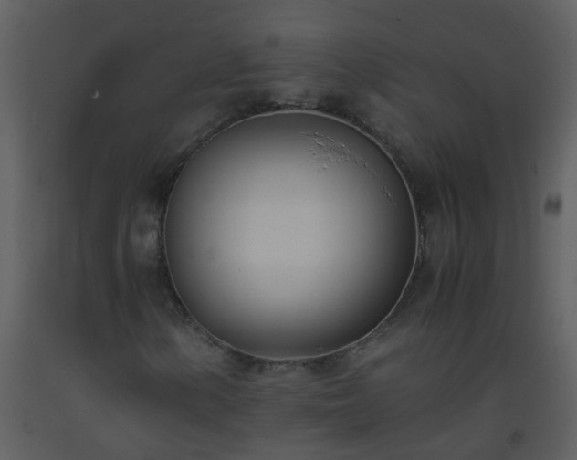 X0000093571154200710221437