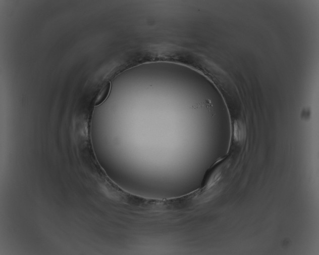 X0000093571155200710221437