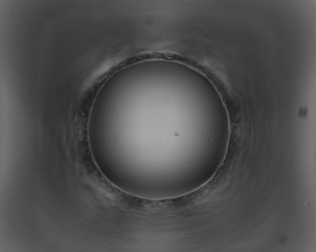 X0000093571159200710221437