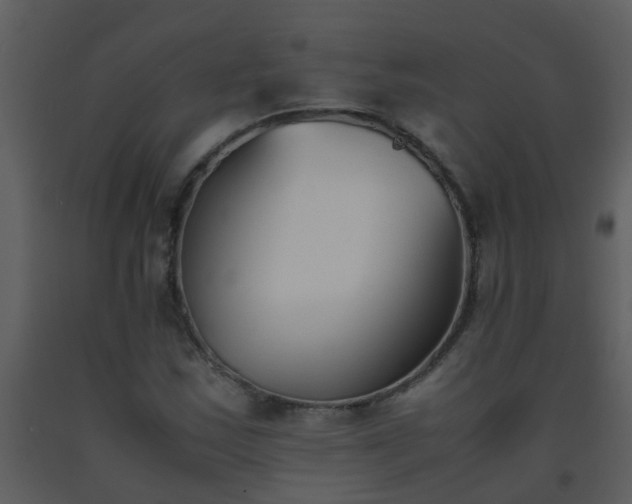 X0000093571163200710221437