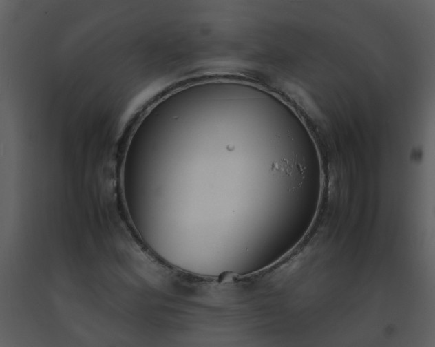 X0000093571164200710221437