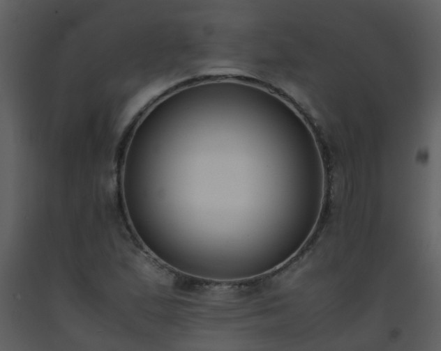 X0000093571167200710221437