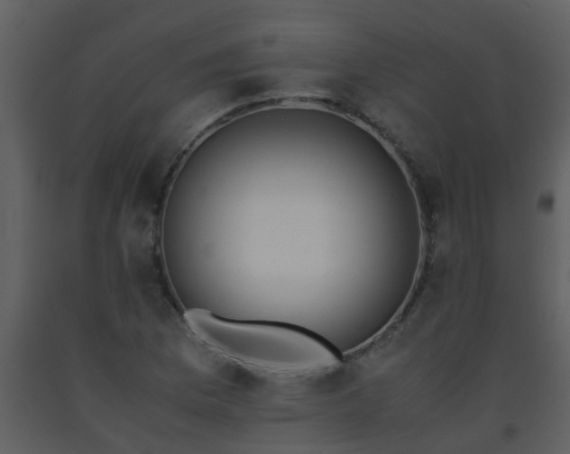 X0000093571169200710221437
