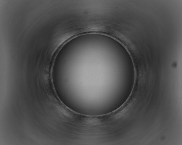 X0000093571170200710221437