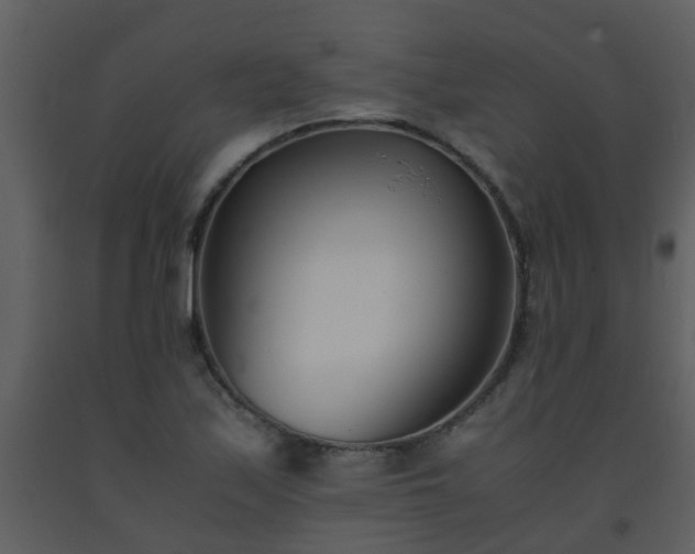 X0000093571171200710221437