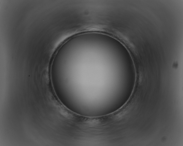 X0000093571174200710221437