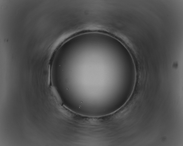 X0000093571175200710221437