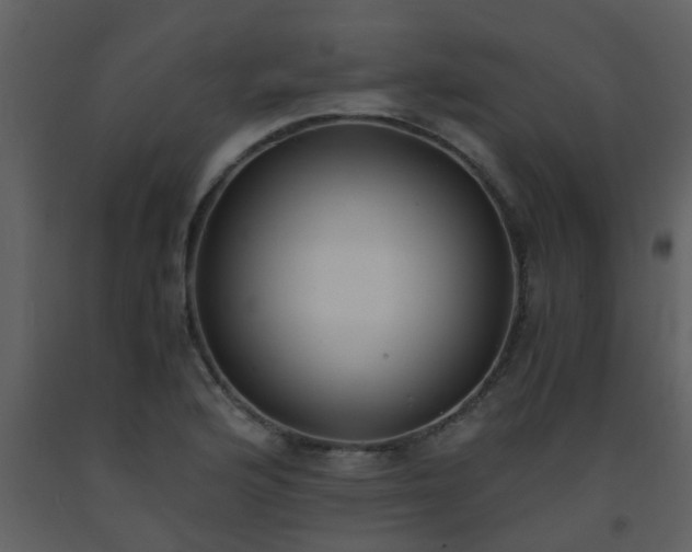 X0000093571176200710221437