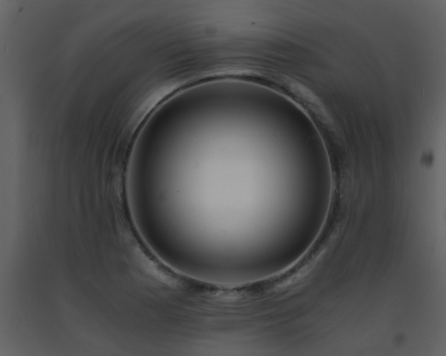 X0000093571177200710221437
