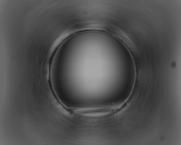 X0000093571180200710221437