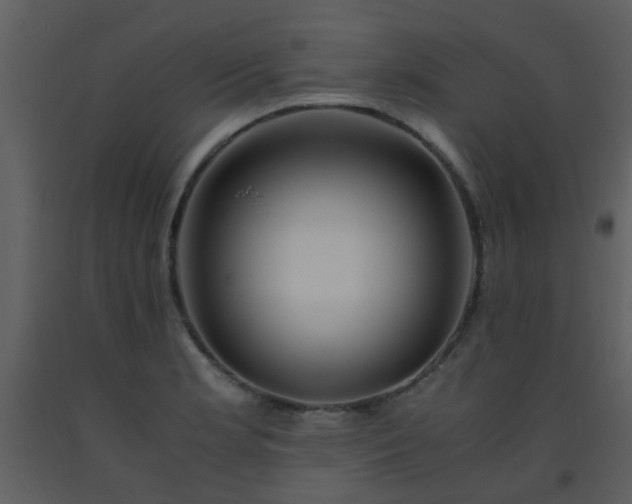 X0000093571181200710221437