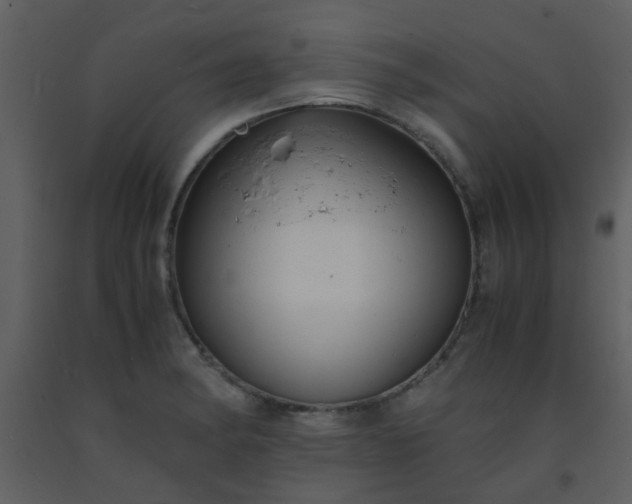 X0000093571182200710221437