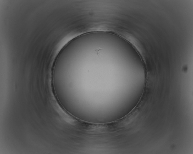 X0000093571187200710221437