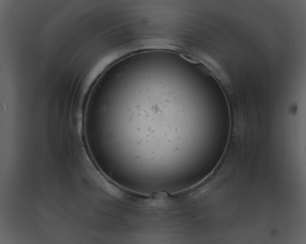 X0000093571188200710221437