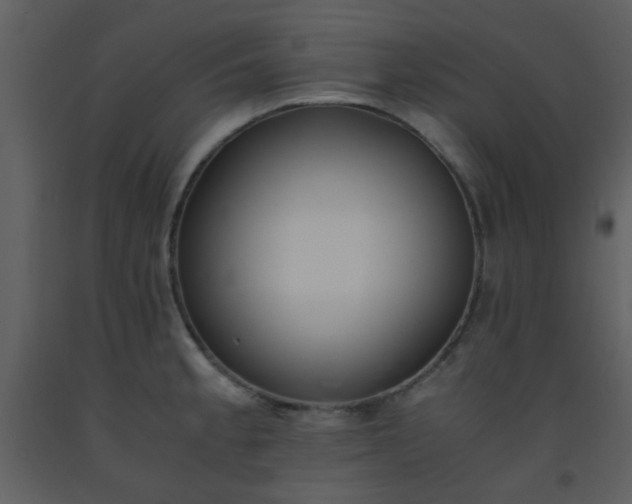 X0000093571189200710221437