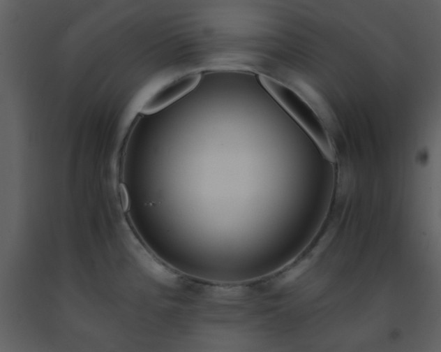 X0000093571196200710221437