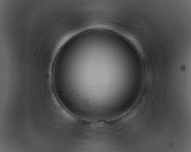 X0000093571199200710221437