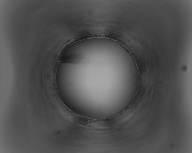 X0000093571201200710221436