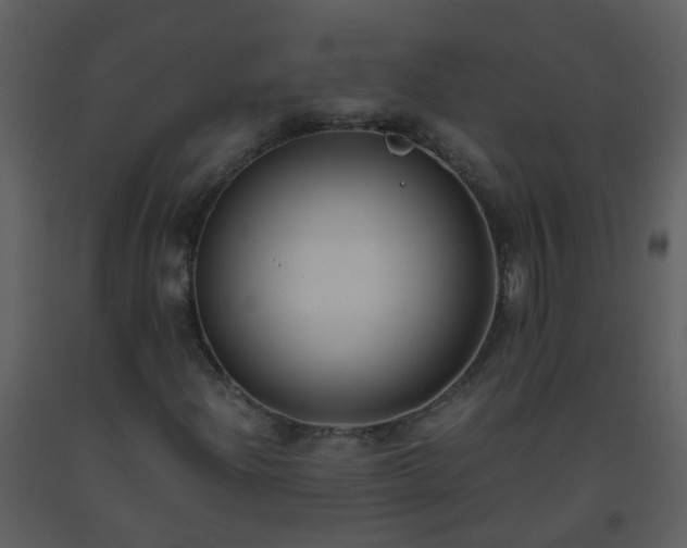 X0000093571204200710221436