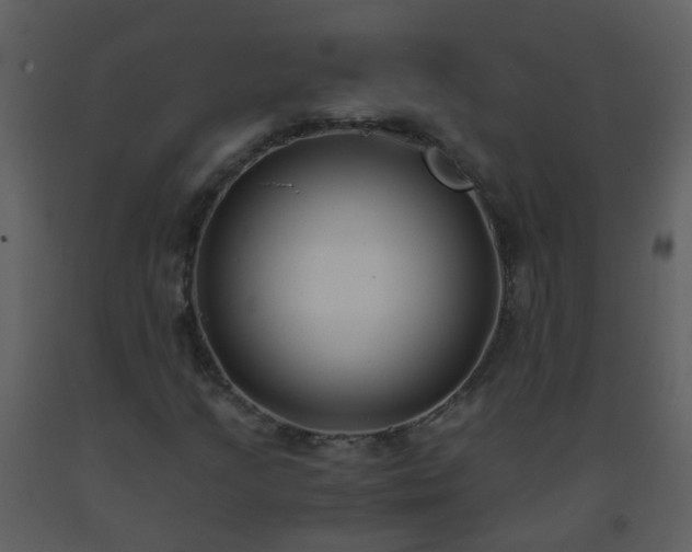 X0000093571205200710221436
