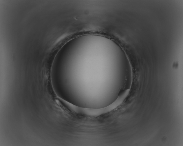 X0000093571206200710221436