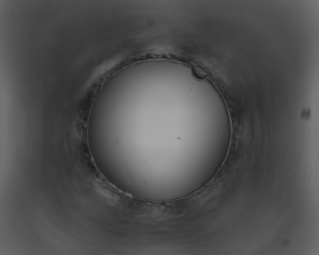 X0000093571207200710221436