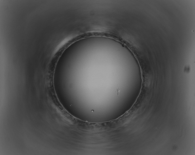X0000093571208200710221436