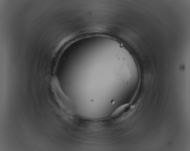 X0000093571210200710221436