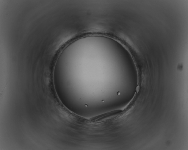 X0000093571213200710221436