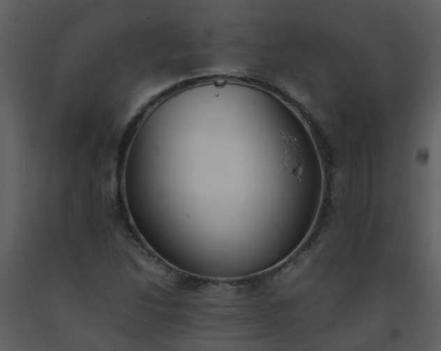 X0000093571214200710221436