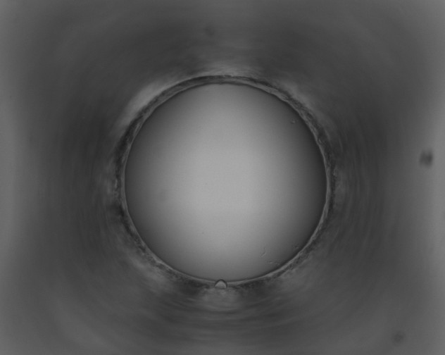 X0000093571215200710221436