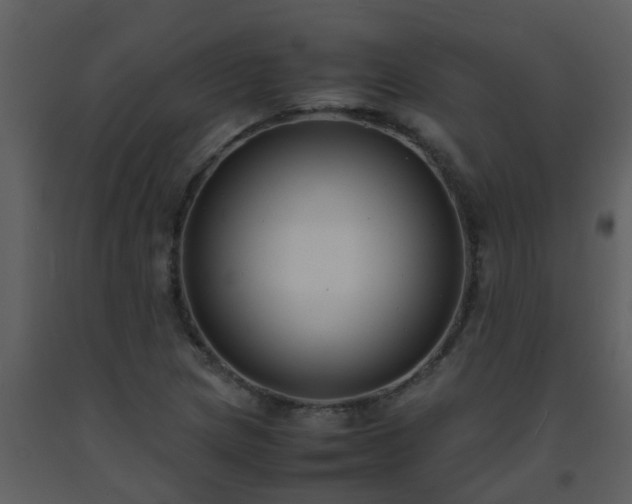 X0000093571217200710221436