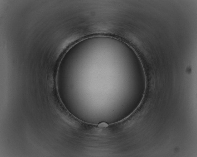 X0000093571218200710221436