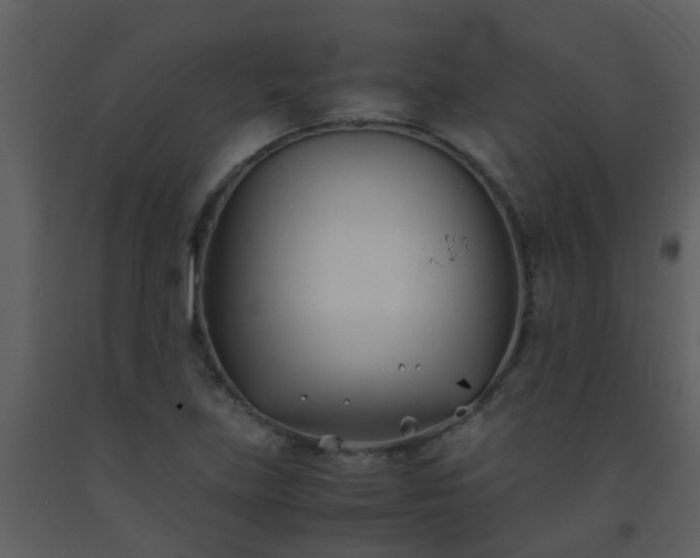 X0000093571219200710221436