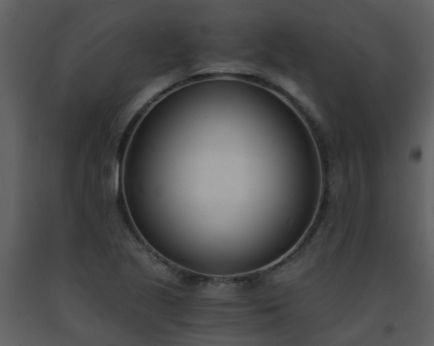 X0000093571221200710221436