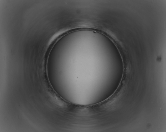 X0000093571222200710221436