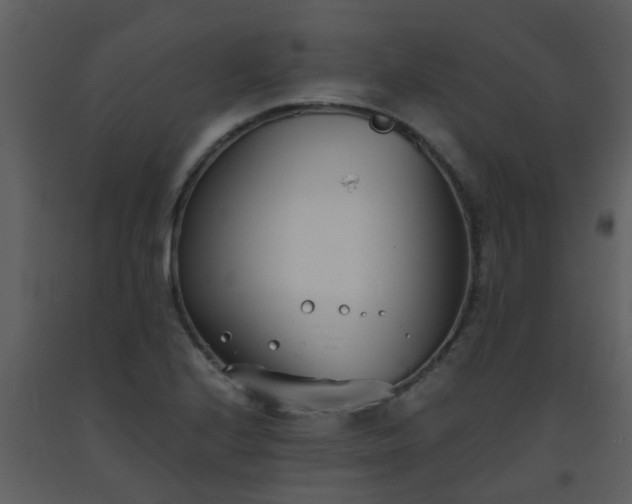 X0000093571224200710221436