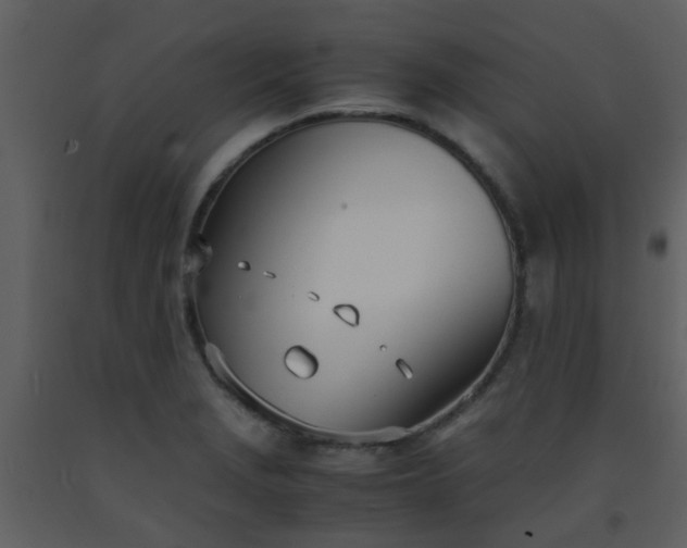 X0000093571229200710221436